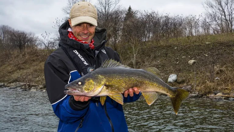 Where’s the Best Walleye Hideout in Your Experience